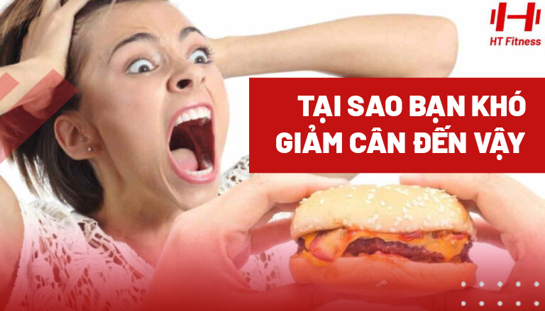 tai-sao-ban-beo