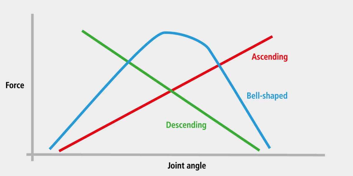 Strength-Curve-la-gi