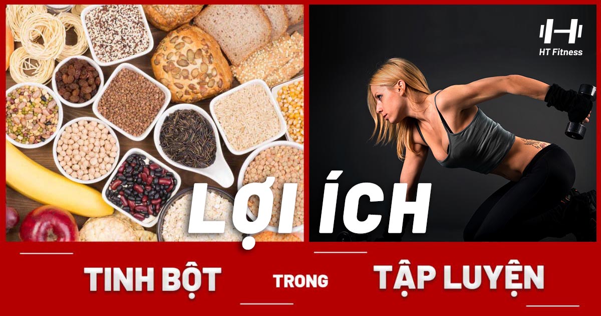 lơi-ich-tinh-bot-trong-tap-gym